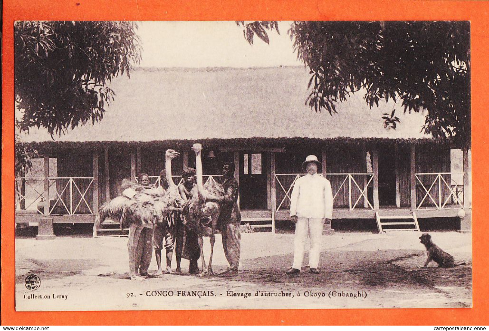 32630 / ⭐ (•◡•) OKOYO Oubanghi Congo Français ◉ Elevage D' Autruches -Collection LERAY 92 Mission Mgr AUGOUARD - Congo Francese