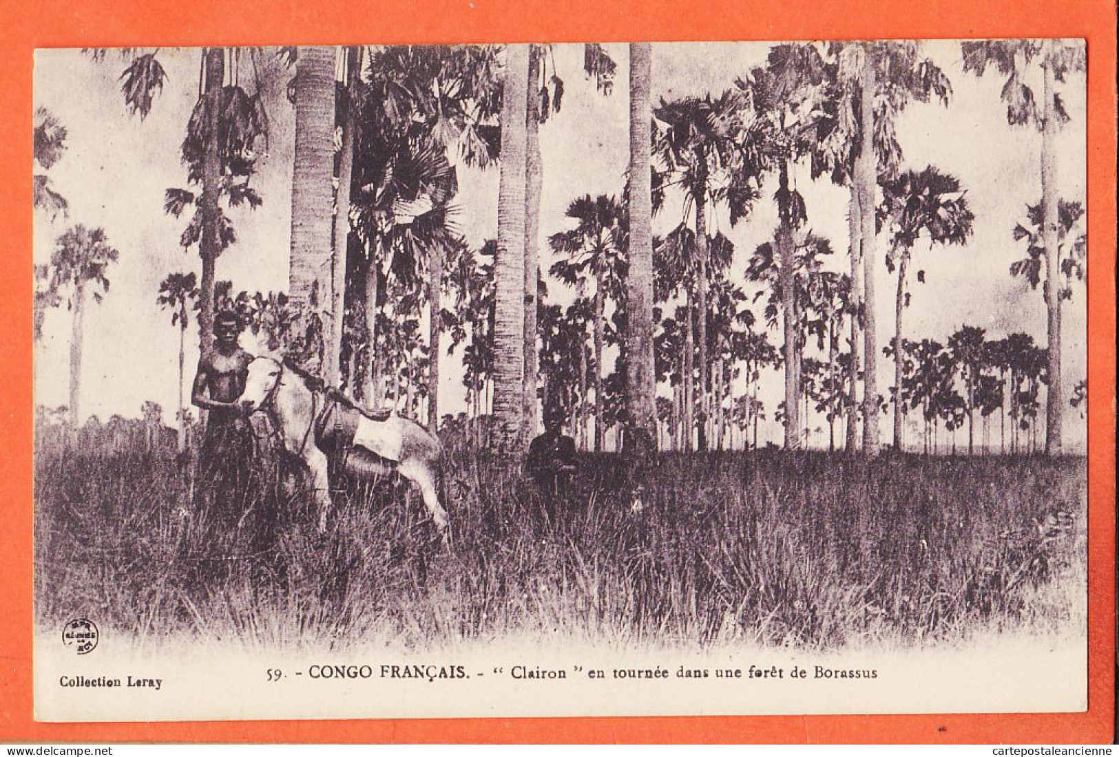 32614 / ⭐ (•◡•) CONGO FRANCAIS ◉ Ane CLAIRON En Tournée Dans Foret BORASSUS Mission AUGOUARD ◉ Collection LERAY 59 - French Congo