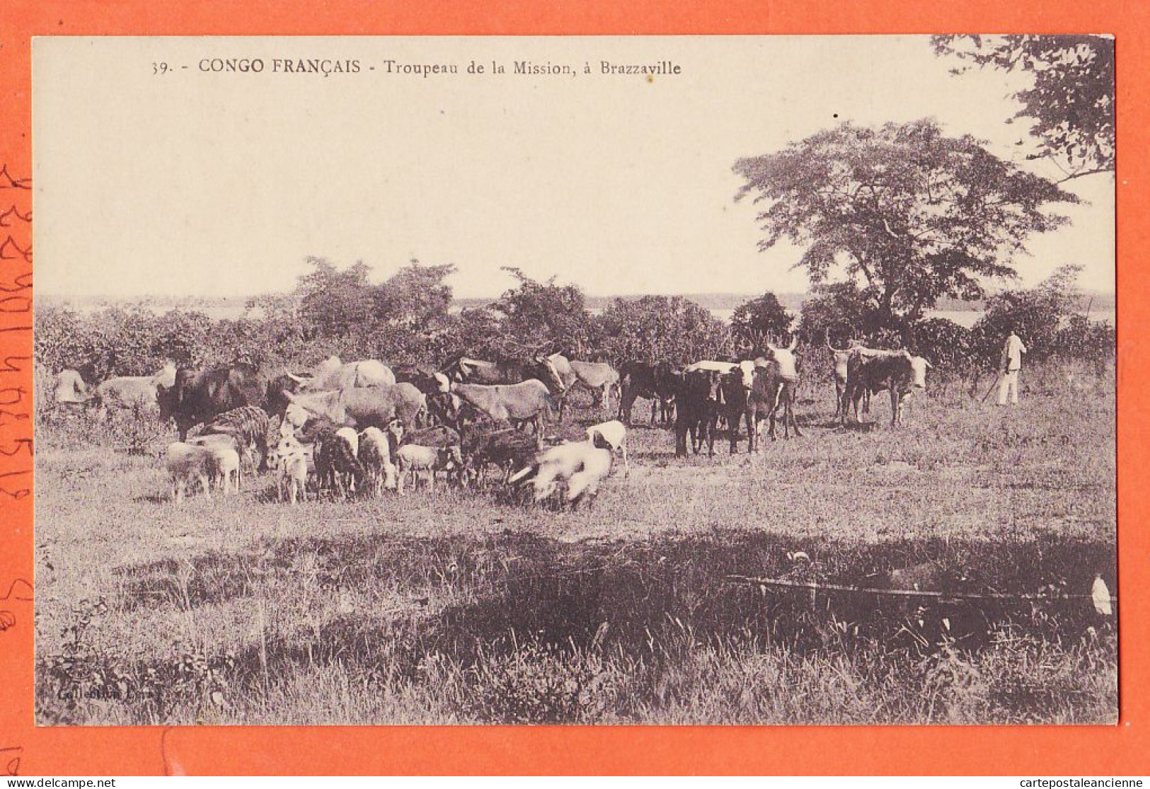 32603 / ⭐ (•◡•) BRAZZAVILLE Congo Français ◉ Troupeau De La Mission Mgr AUGOUARD ◉ Collection LERAY 39 - French Congo
