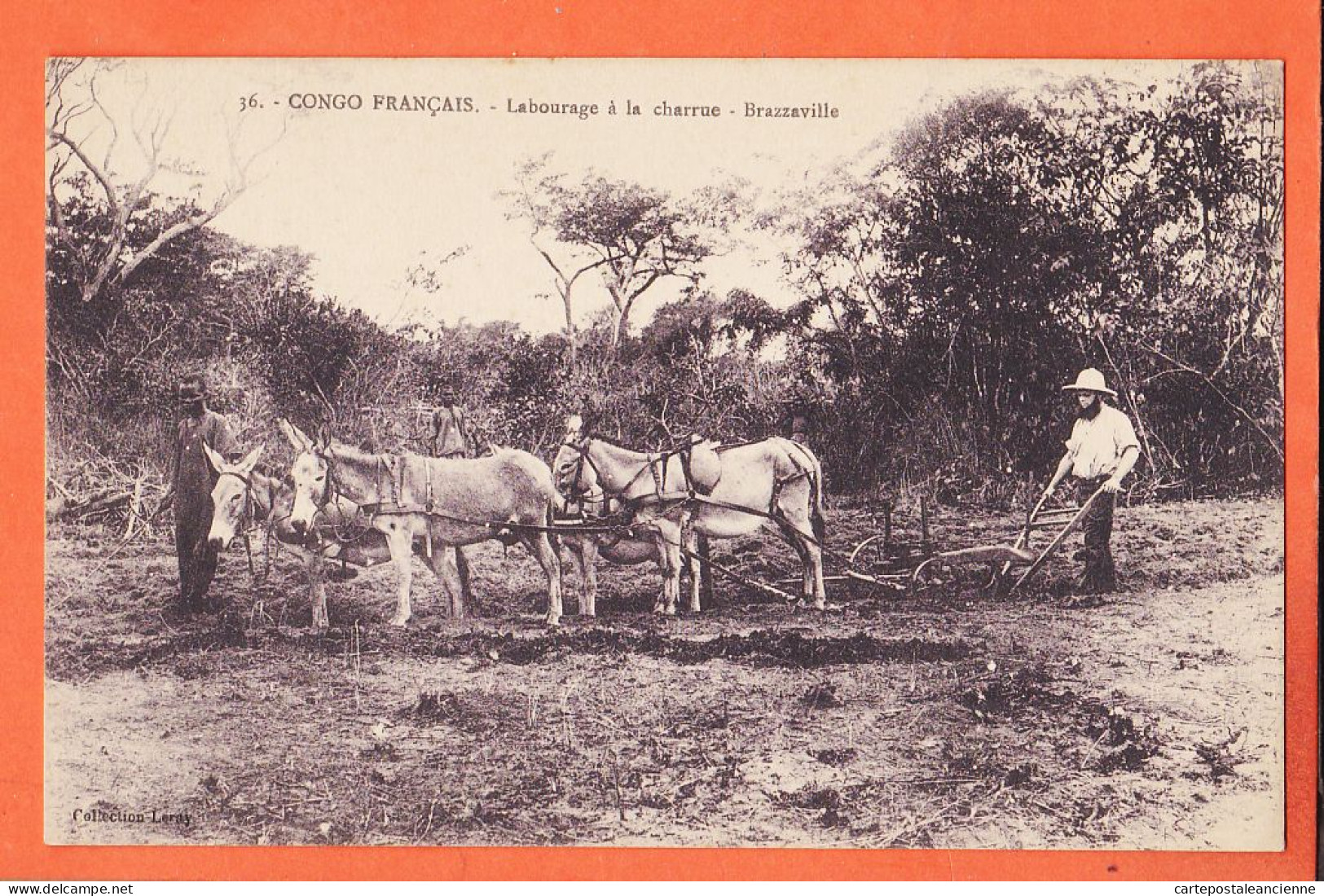 32602 / ⭐ (•◡•) BRAZZAVILLE Congo Français ◉ Labourage à La Charrue Attelage Mulets ◉ Collection LERAY 36 - Frans-Kongo
