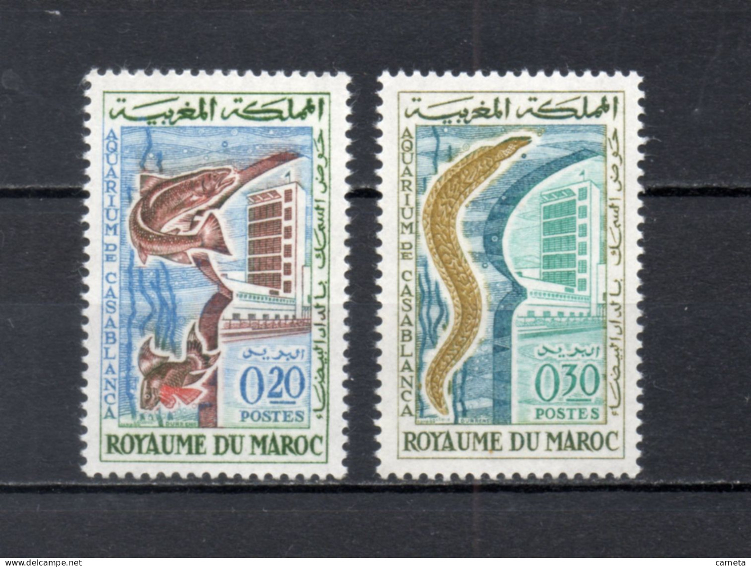 MAROC N°  448 + 449    NEUFS SANS CHARNIERE  COTE 2.20€    POISSON ANIMAUX AQUARIUM FAUNE - Maroc (1956-...)