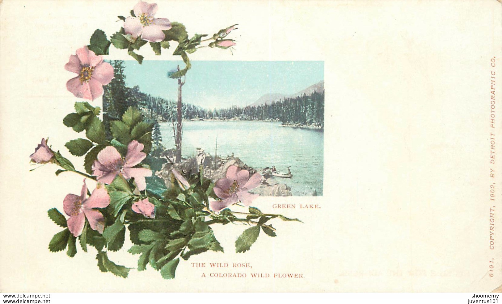 CPA Green Lake-A Colorado Wild Flower    L1063 - Andere & Zonder Classificatie
