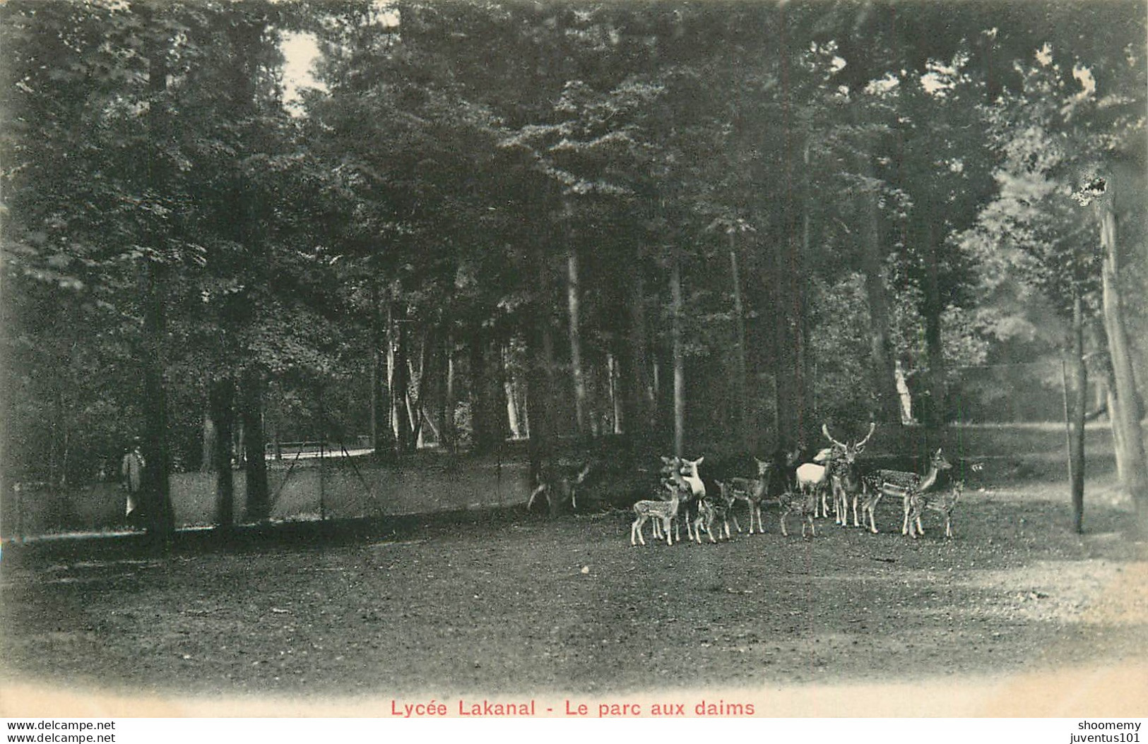 CPA Sceaux-Lycée Lakanal-Le Parc Aux Daims-Timbre      L1398 - Sceaux