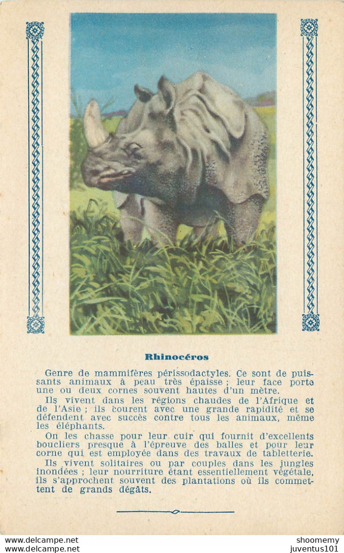 Carte Publicitaire-L'Express Teinture-Rhinocéros      L1427 - Advertising