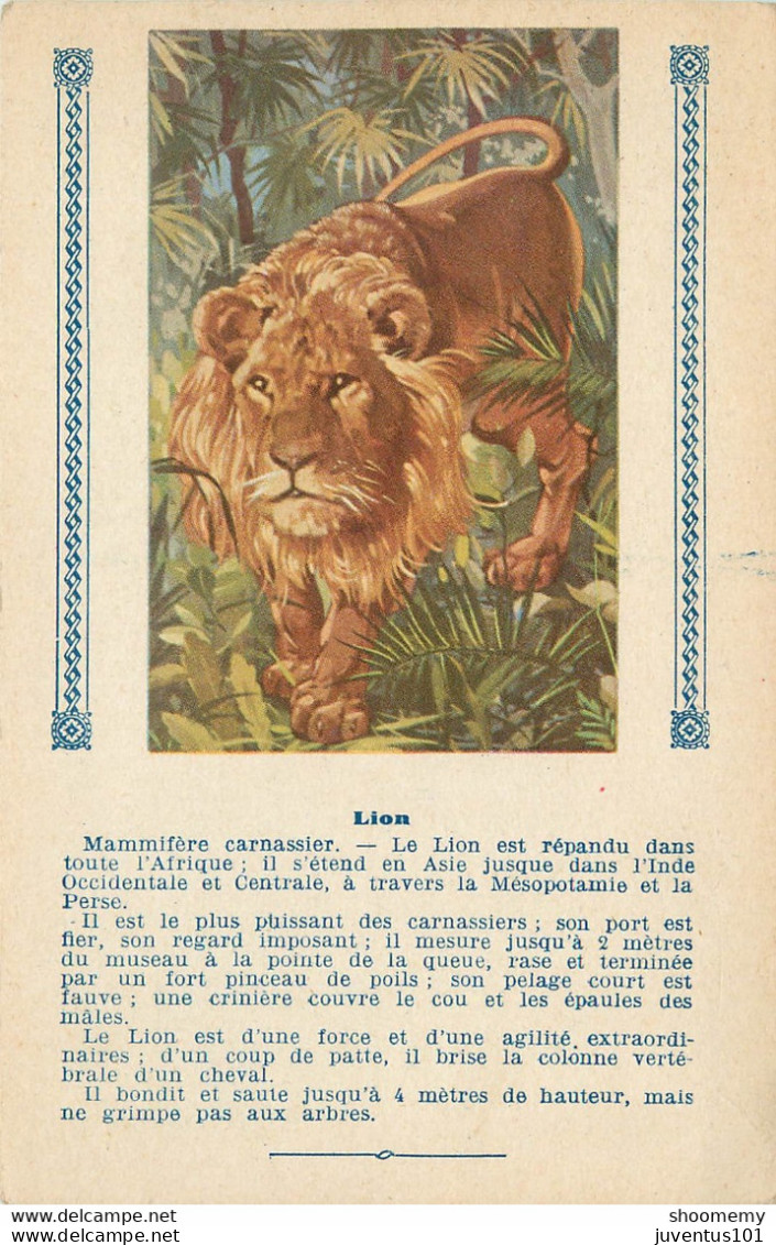 Carte Publicitaire-L'Express Teinture-Lion      L1427 - Publicité