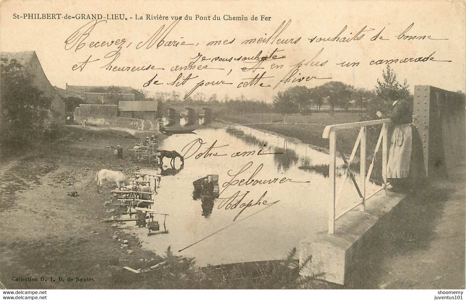 CPA Saint Philbert De Grand Lieu-La Rivière Vue Du Pont Du Chemin De Fer-Timbre      L1528 - Saint-Philbert-de-Grand-Lieu