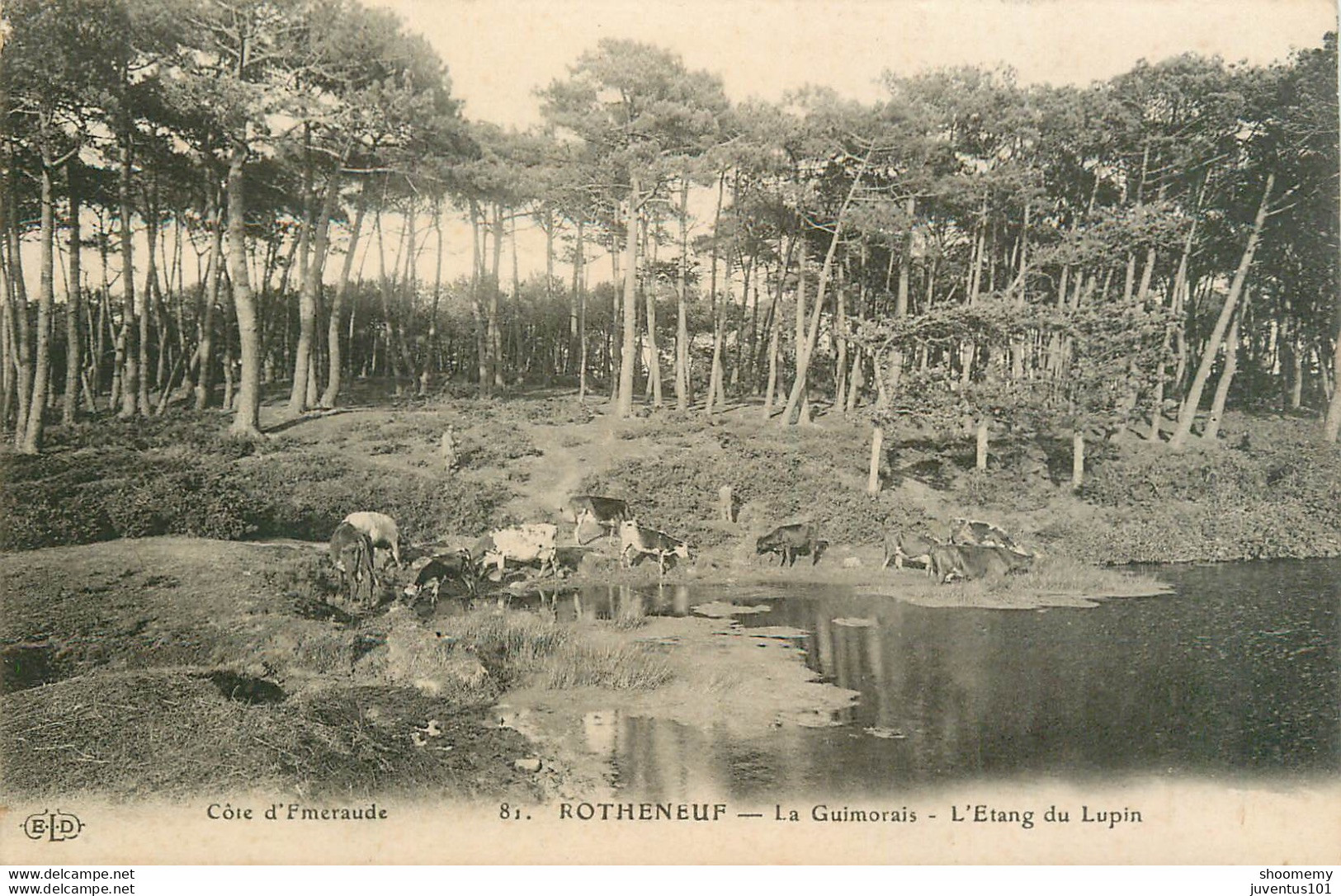 CPA Rotheneuf-Le Guimorais-L'étang Du Lupin       L1526 - Rotheneuf