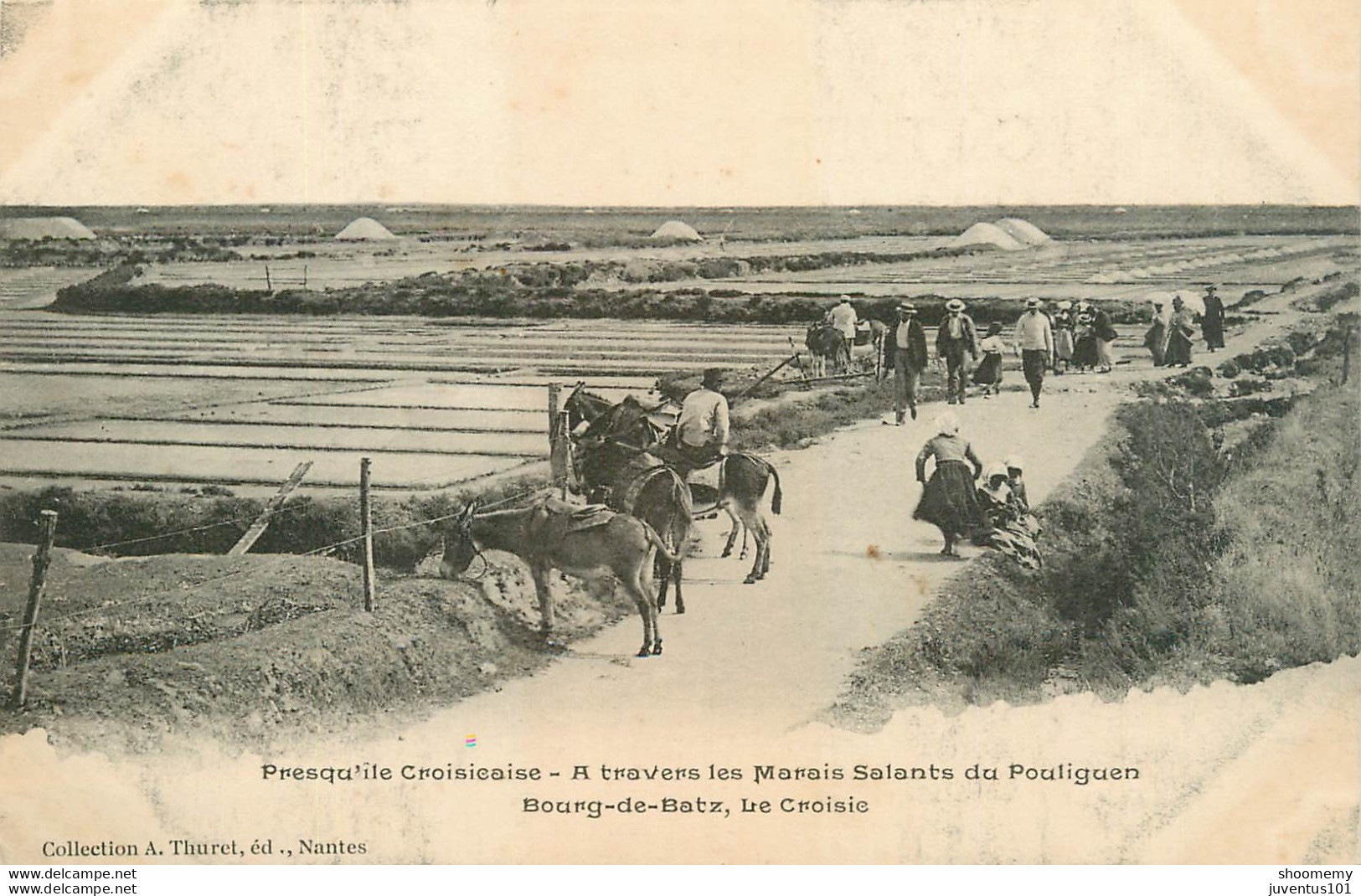 CPA Presqu'ile Croisicaise-A Travers Les Marais Salants Du Pouliguen-Bourg De Batz-Le Croisic       L1514 - Le Pouliguen