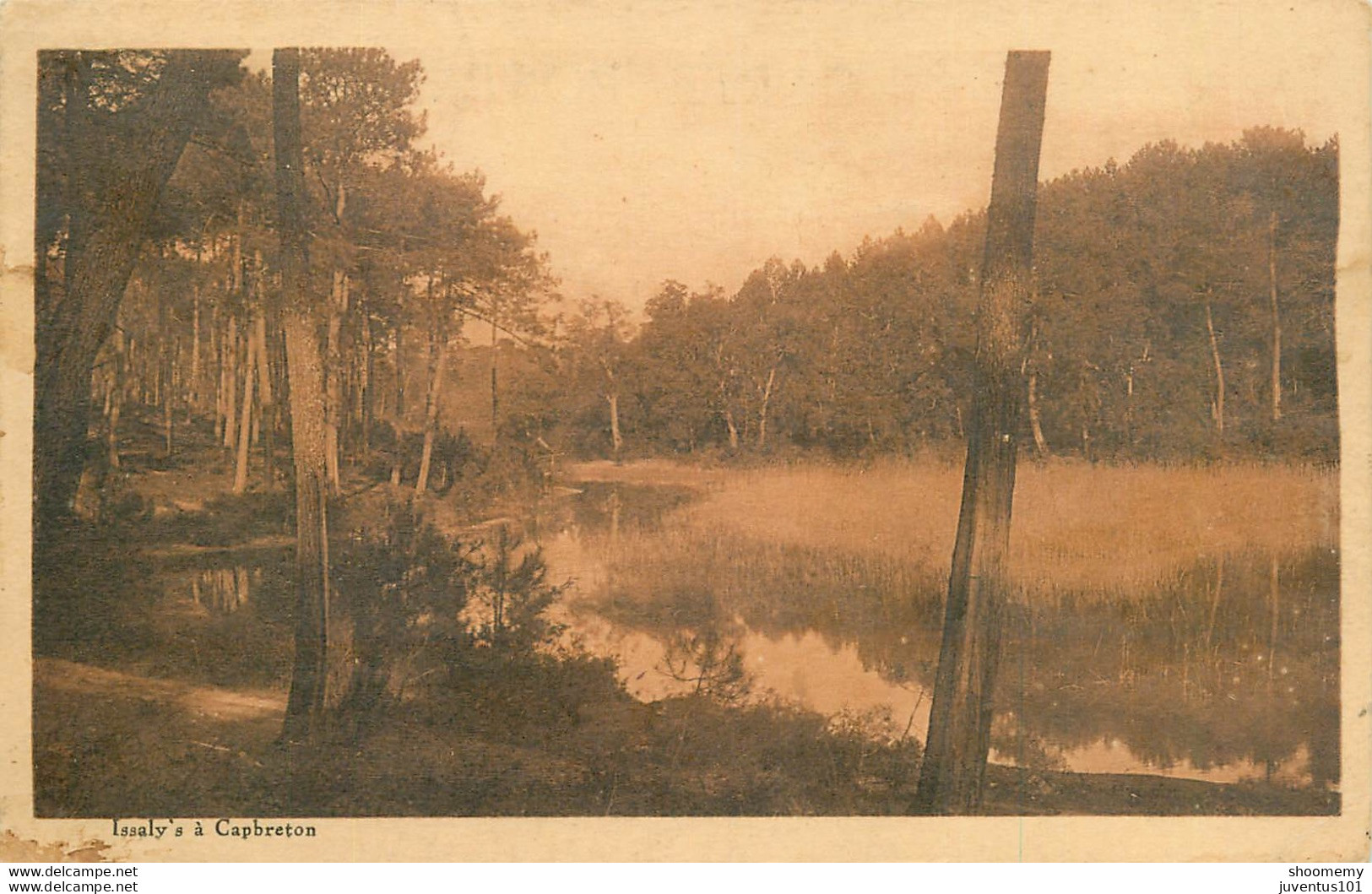 CPA Issaly's à Capbreton     L1505 - Capbreton