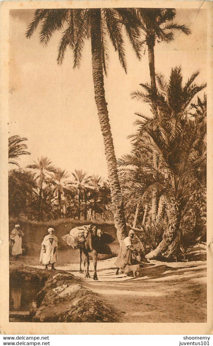 CPA Environs De Biskra-Un Chemin Dans La Palmeraie   L1496 - Biskra