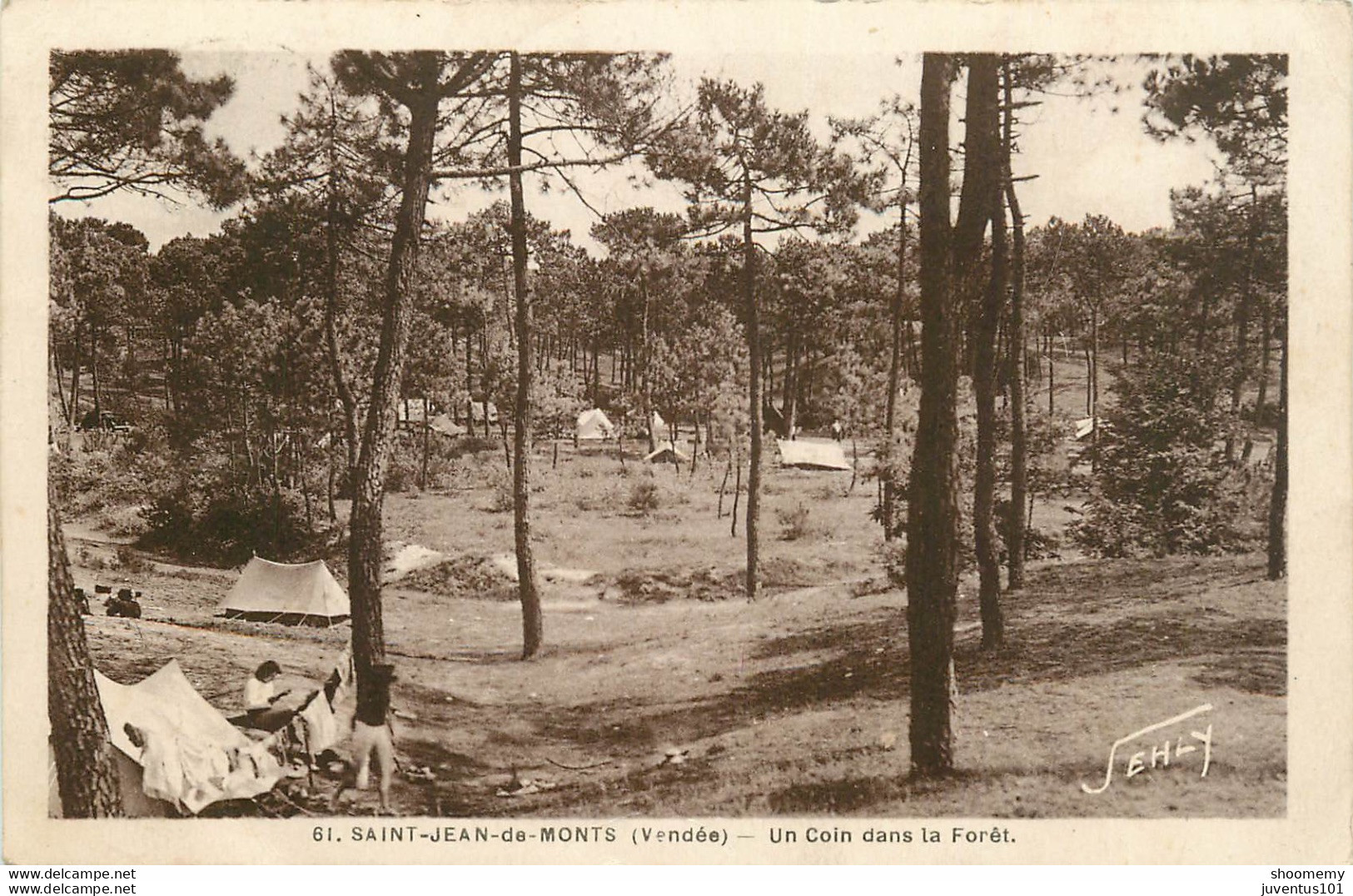 CPA Saint Jean De Monts-Un Coin Dans La Forêt-Timbre    L1493 - Saint Jean De Monts