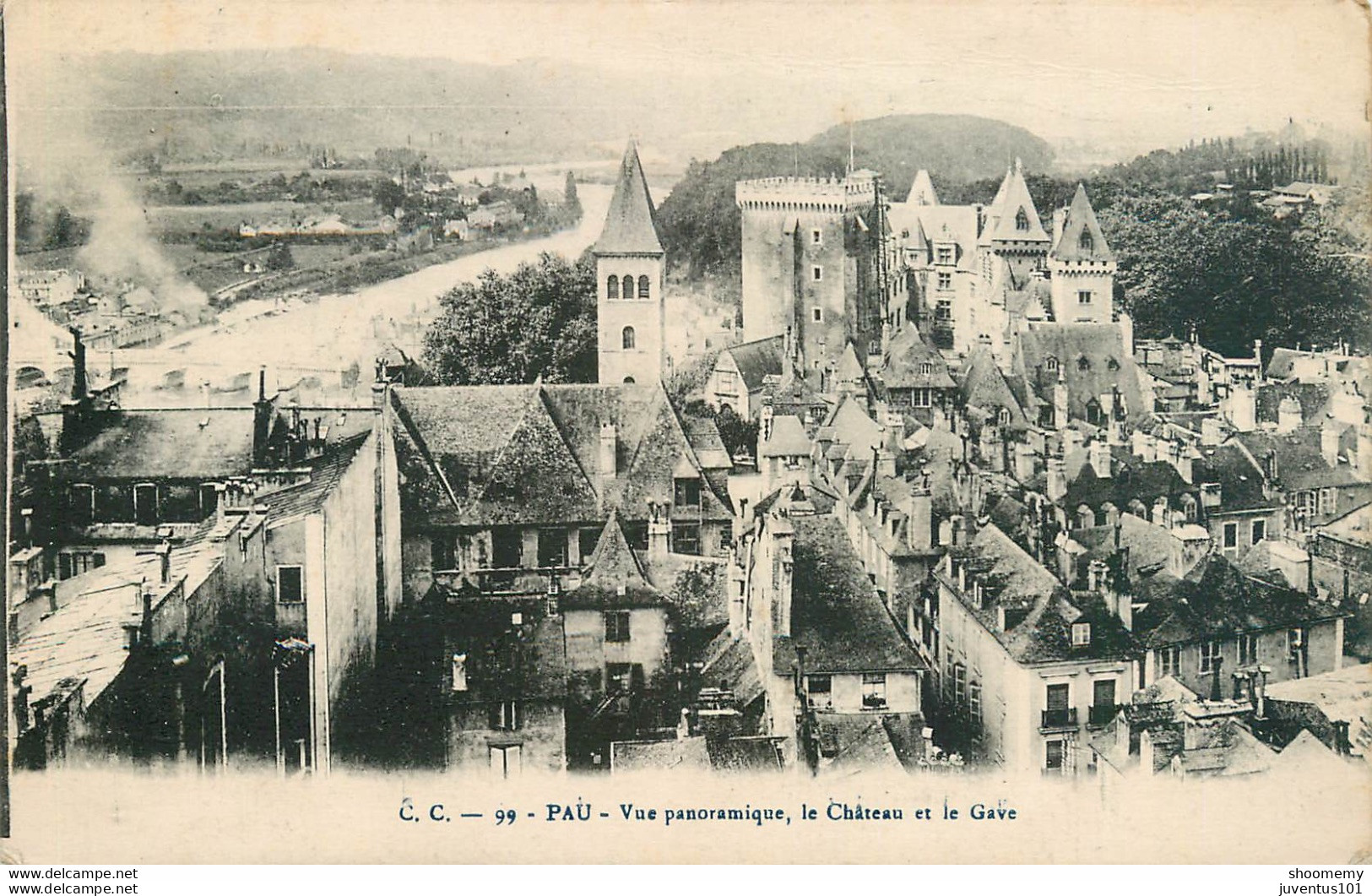 CPA Pau-Vue Panoramique, Le Château Et Le Gave-99     L1628 - Pau