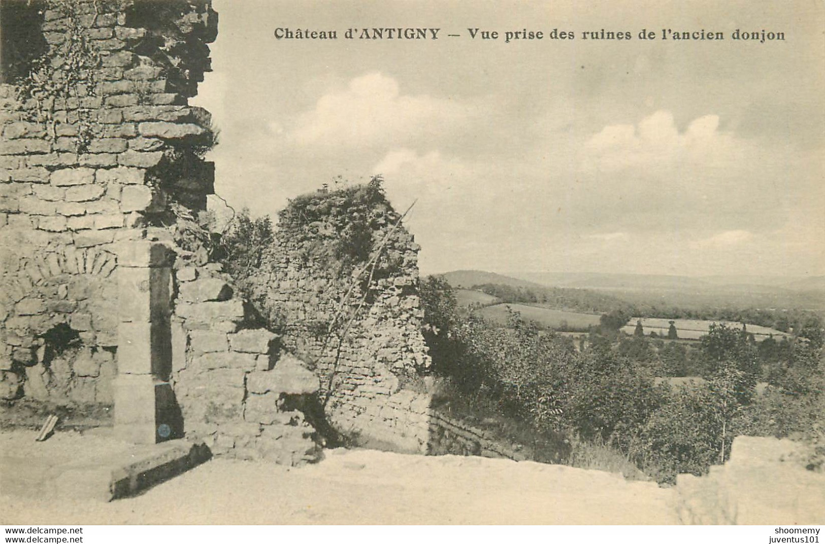 CPA Château D'Antigny-Vue Prise Des Ruines De L'ancien Donjon     L1587 - Autres & Non Classés