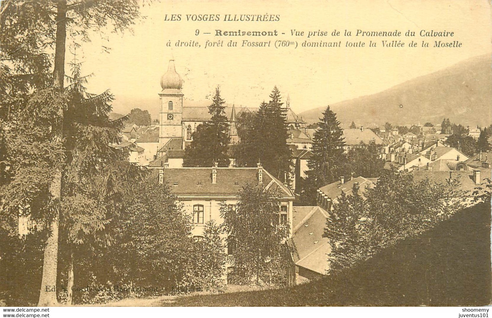 CPA Remiremont-Vue Prise De La Promenade Du Calvaire-Timbre      L1552 - Remiremont