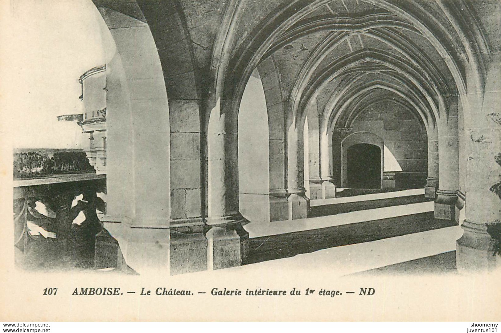 CPA Amboise-Le Château-107     L1674 - Amboise