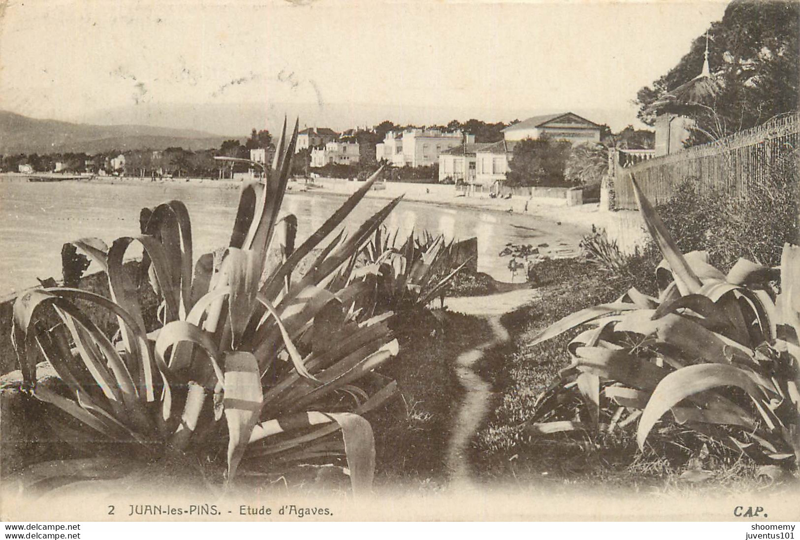 CPA Juan Les Pins-Etude D'Agaves-2-Timbre           L1797 - Juan-les-Pins