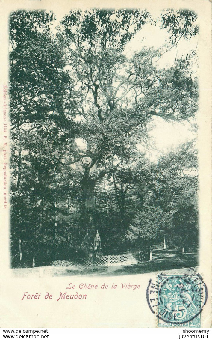 CPA Forêt De Meudon-Le Chêne De La Vierge-Timbre     L1993 - Meudon