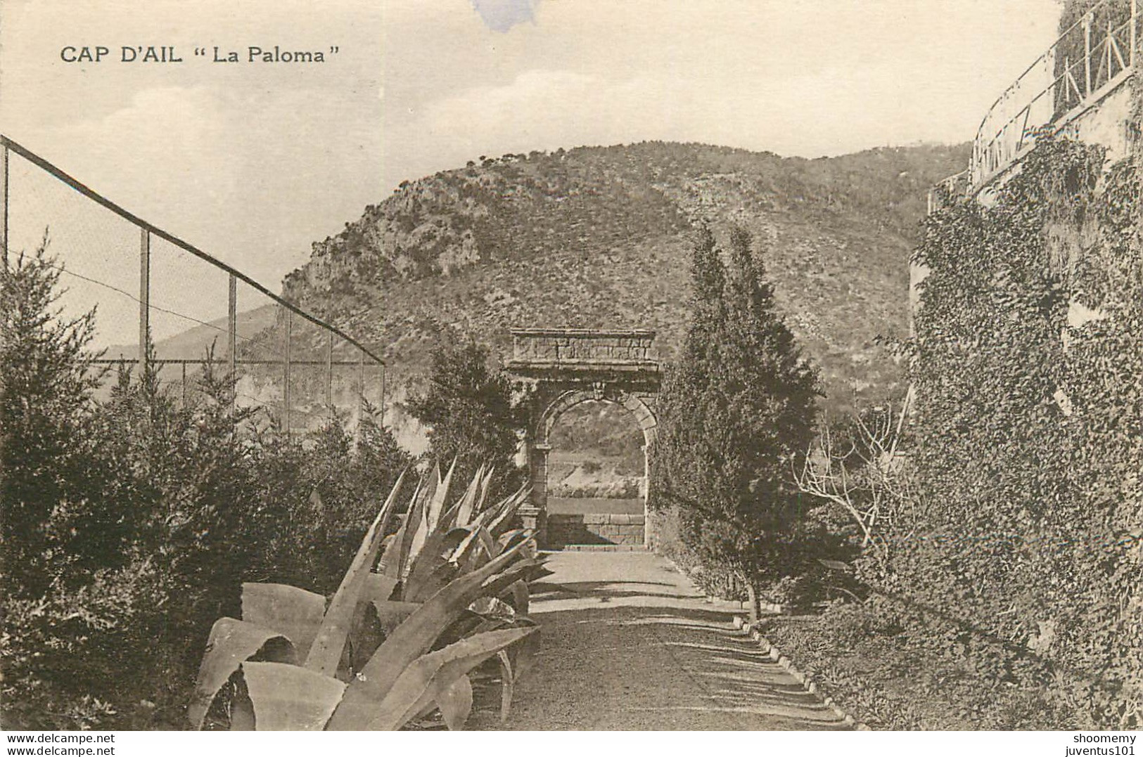 CPA Cap D'Ail-La Paloma     L1979 - Cap-d'Ail