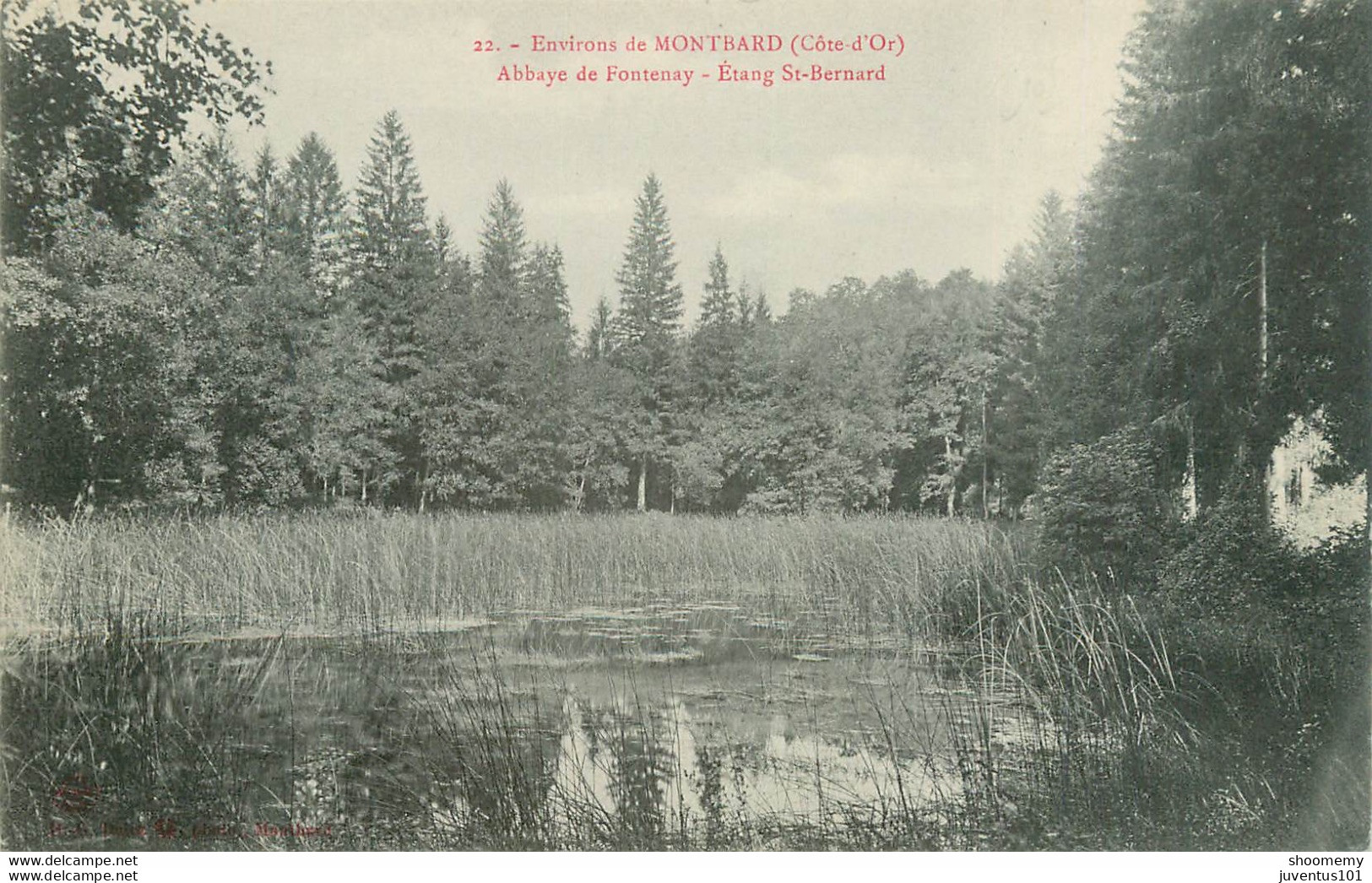 CPA Environs De Montbard-Abbaye De Fontenay-Etang St Bernard        L1863 - Montbard