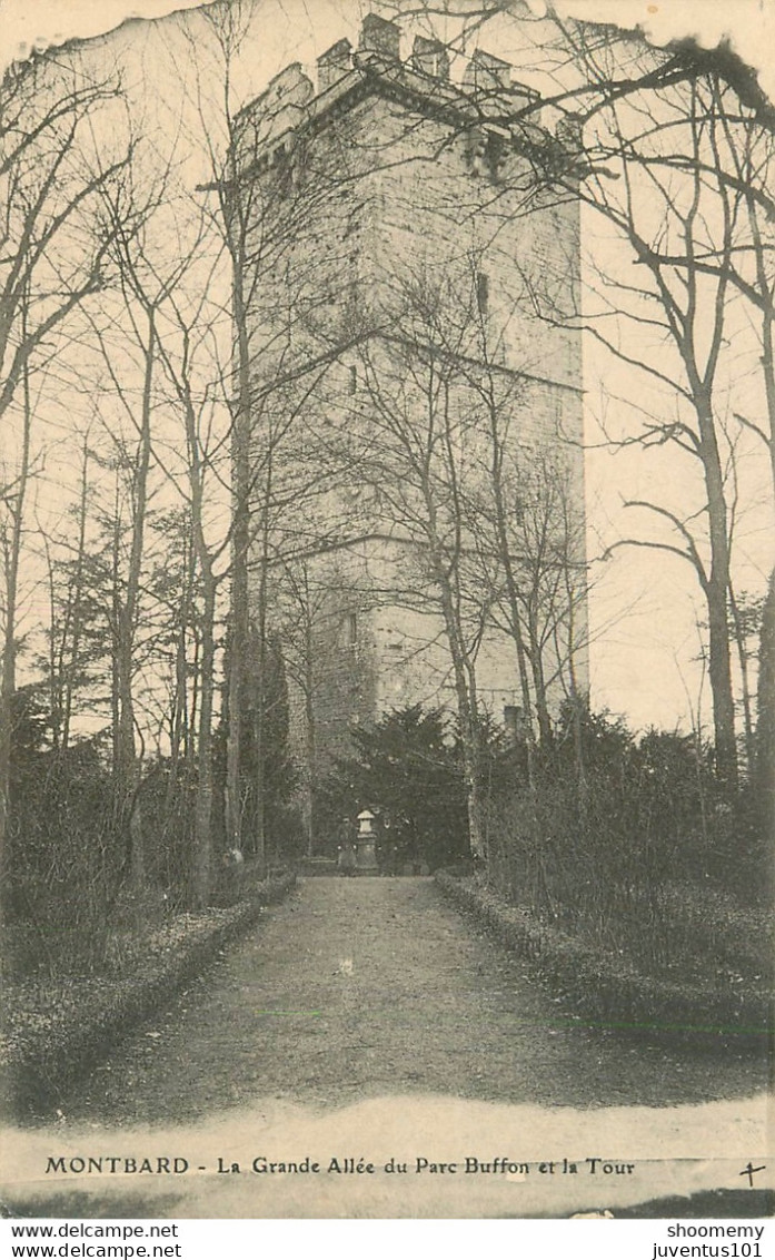 CPA Montbard-Parc De Buffon-La Grande Allée        L1863 - Montbard