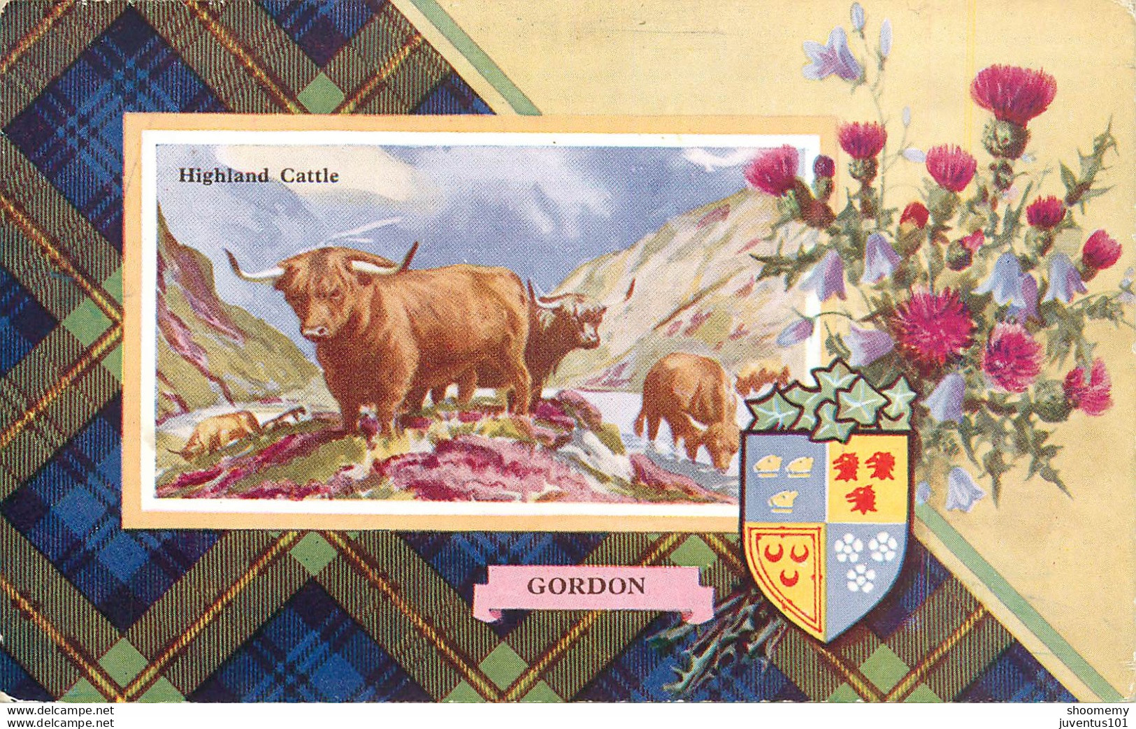 CPA Gordon-Highland Cattle       L1860 - Otros & Sin Clasificación