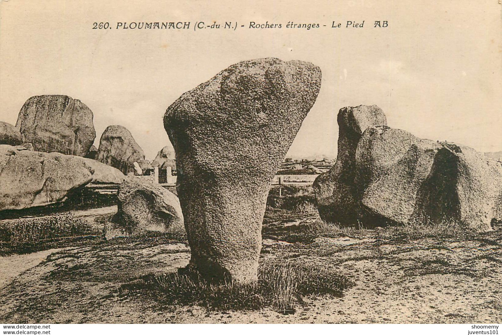 CPA Ploumanach-Rochers étranges-Le Pied-260      L2196 - Ploumanac'h