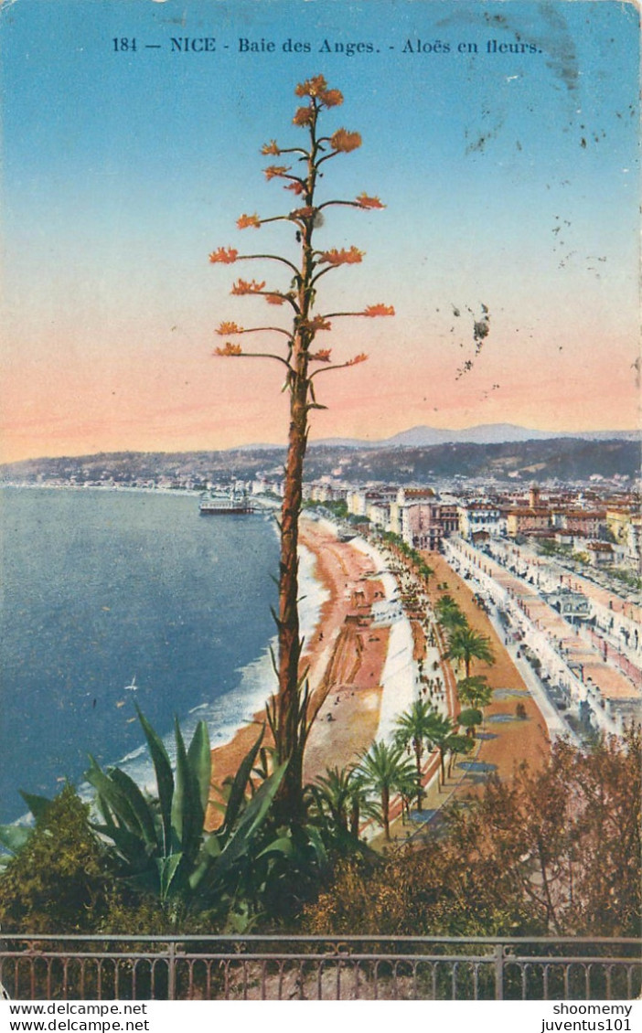 CPA Nice-Baie Des Anges-aloes En Fleurs-184-Timbre        L2196 - Multi-vues, Vues Panoramiques