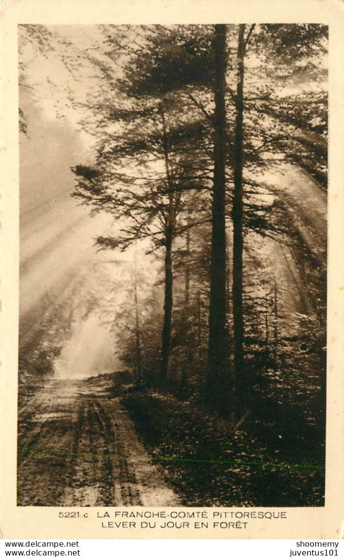 CPA La Franche Comté-Lever Du Jour En Forêt      L2161 - Franche-Comté