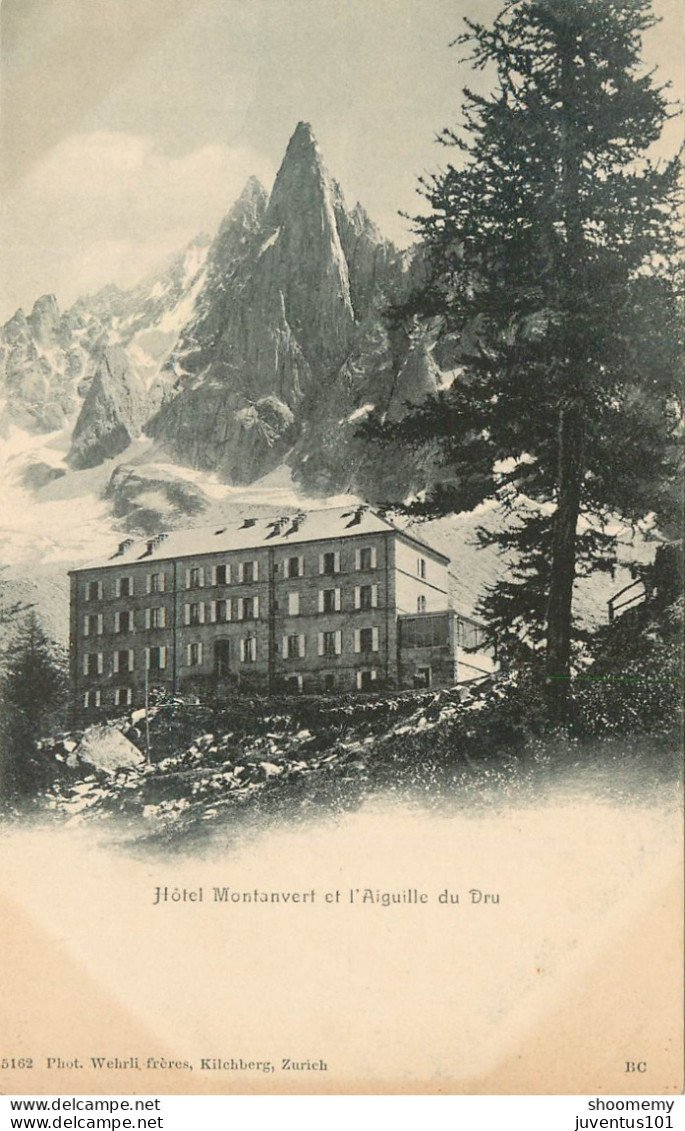 CPA Chamonix-Hôtel Montanvert Et L'aiguille Du Dru      L2246 - Chamonix-Mont-Blanc