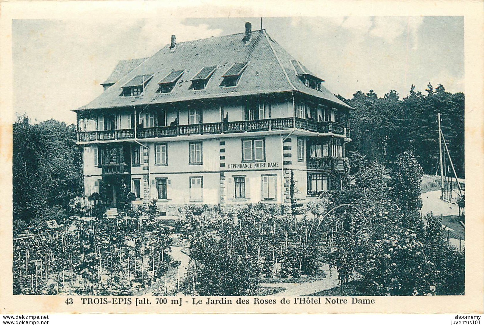 CPA Trois Epis-Le Jardin Des Roses De L'hôtel Notre Dame-43    L2314 - Trois-Epis