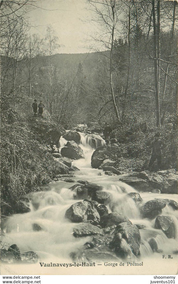 CPA Vaulnaveys Le Haut-Gorge De Prémol      L2296 - Autres & Non Classés