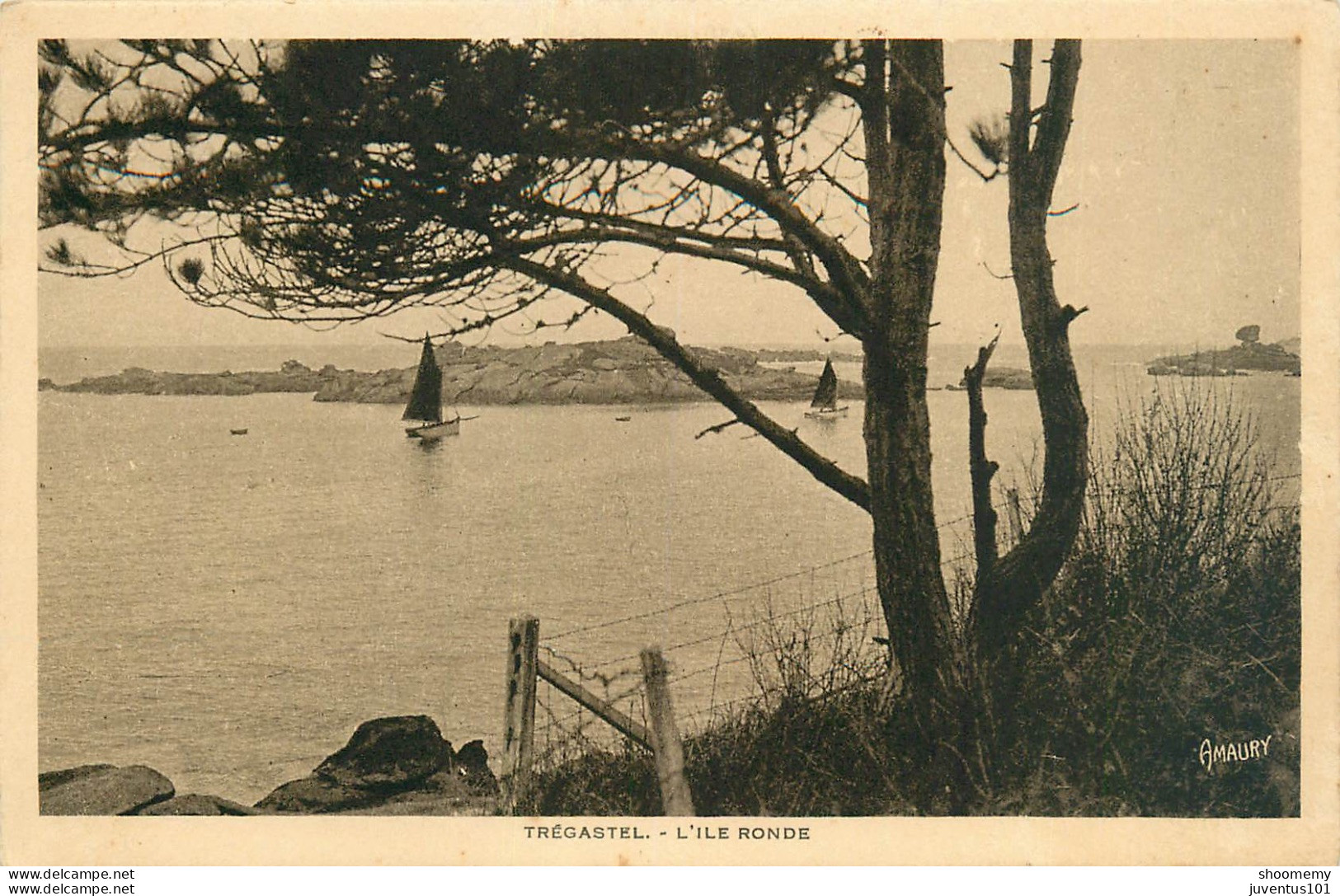 CPA Trégastel-L'ile Ronde    L2254 - Trégastel