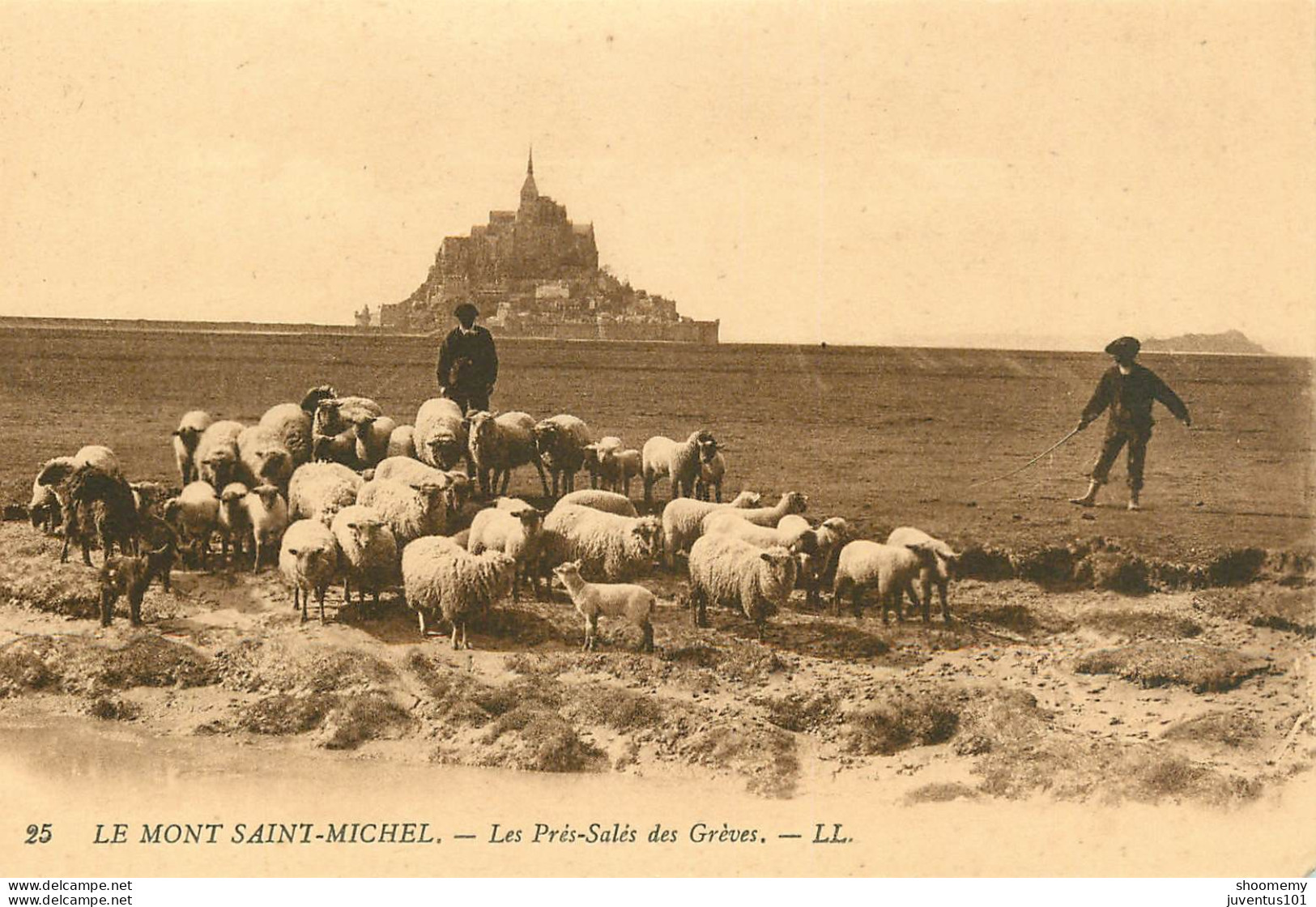 CPA Le Mont Saint Michel-Les Prés Salés Des Grèves-25   L2316 - Le Mont Saint Michel