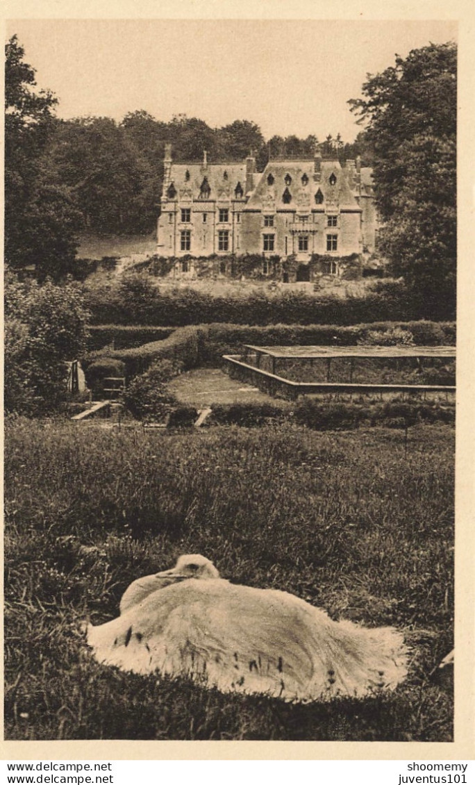 CPA Parc Zoologique De Clères-Nandou Couvant       L2456 - Clères