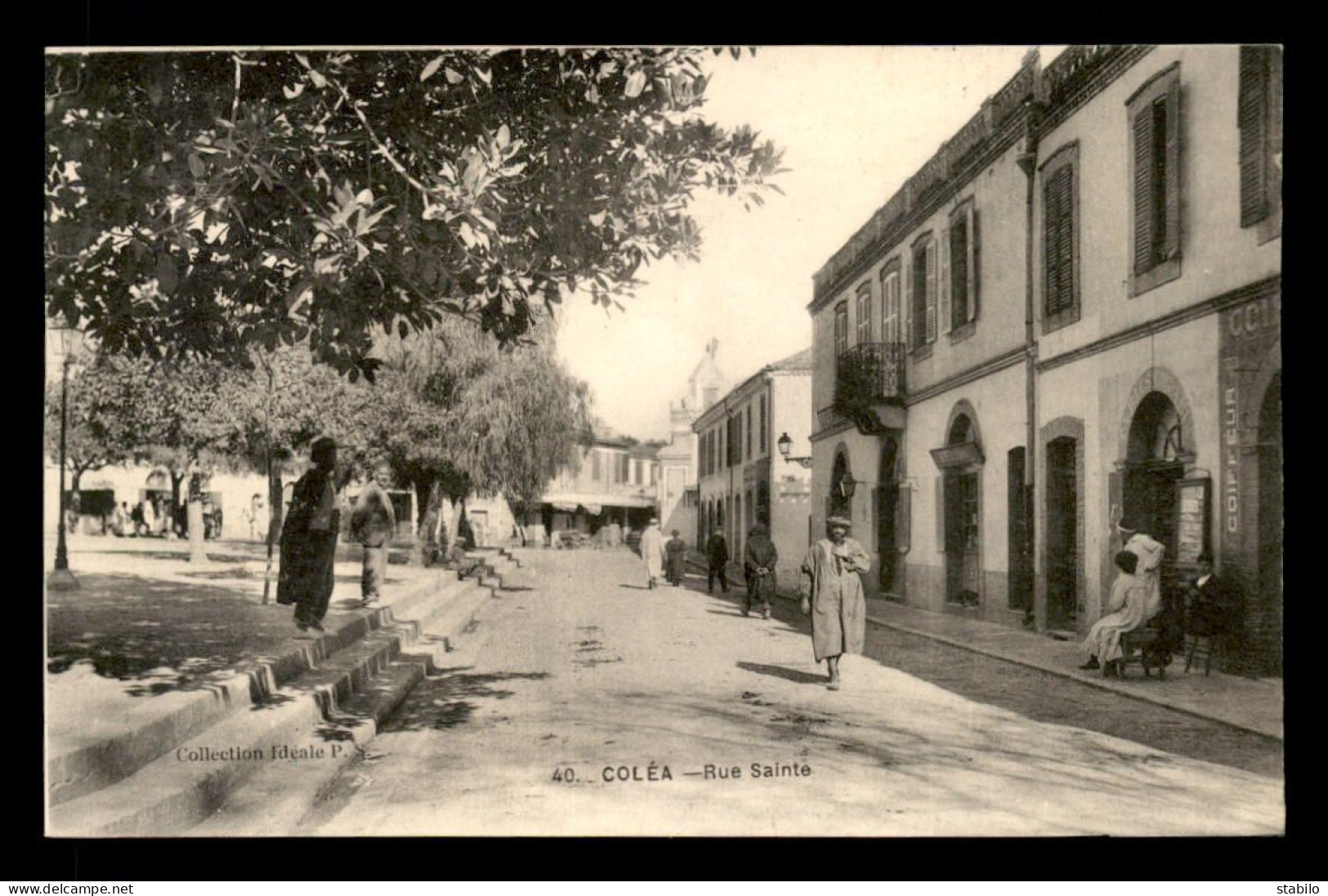 ALGERIE - COLEA - KOLEA - RUE SAINTE - Altri & Non Classificati