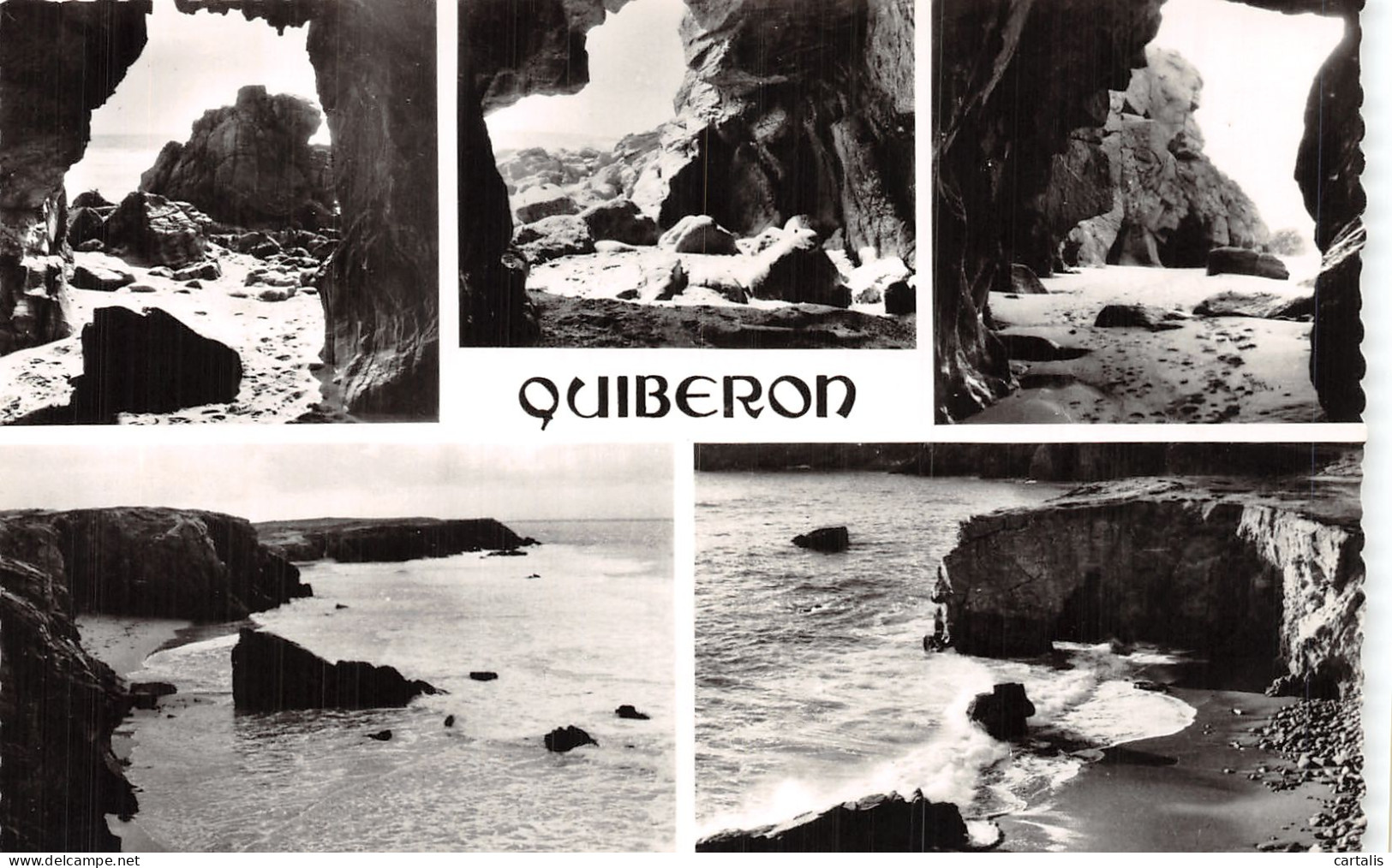 56-QUIBERON-N°4475-B/0127 - Quiberon