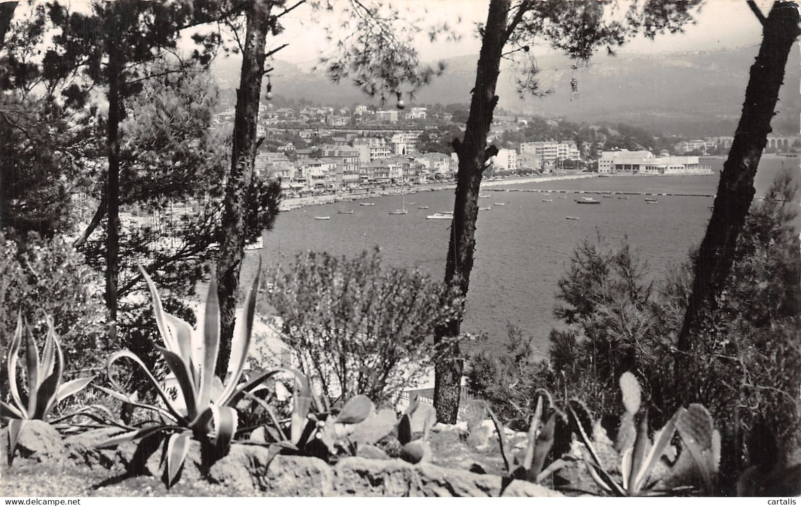 83-BANDOL-N°4476-E/0355 - Bandol