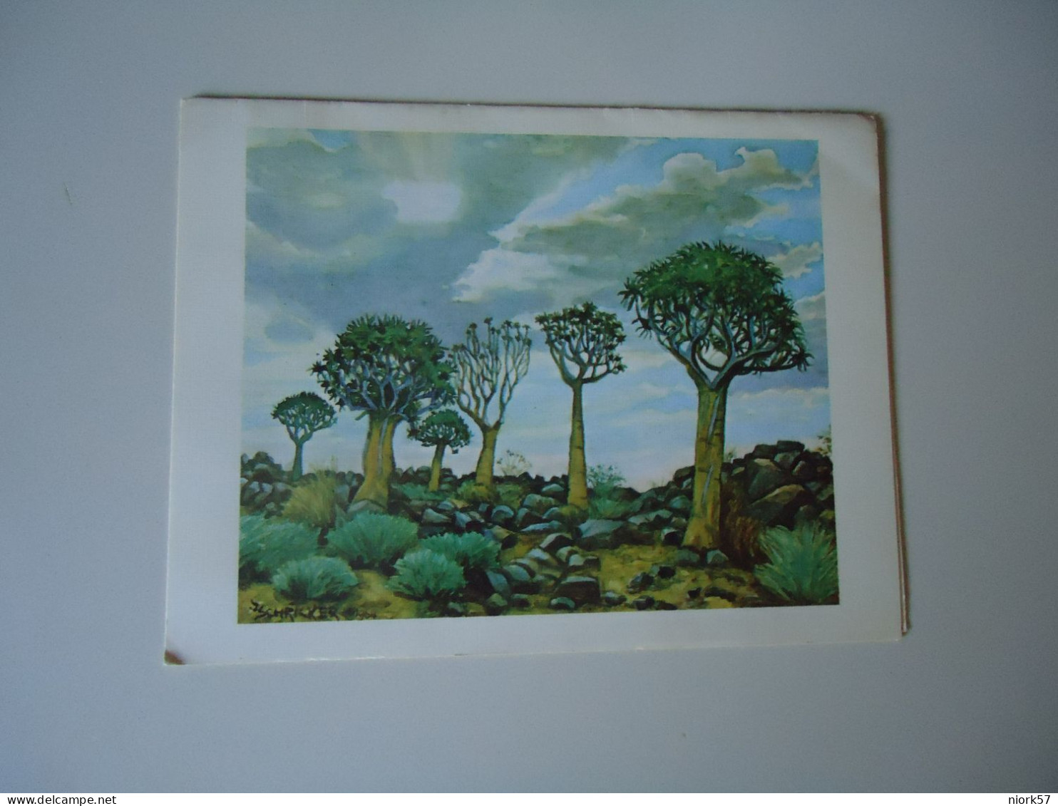 SOUTH AFRICA  POSTCARDS   PAINTINGS PLANTS       MORE  PURHASES 10% DISCOUNT - Afrique Du Sud