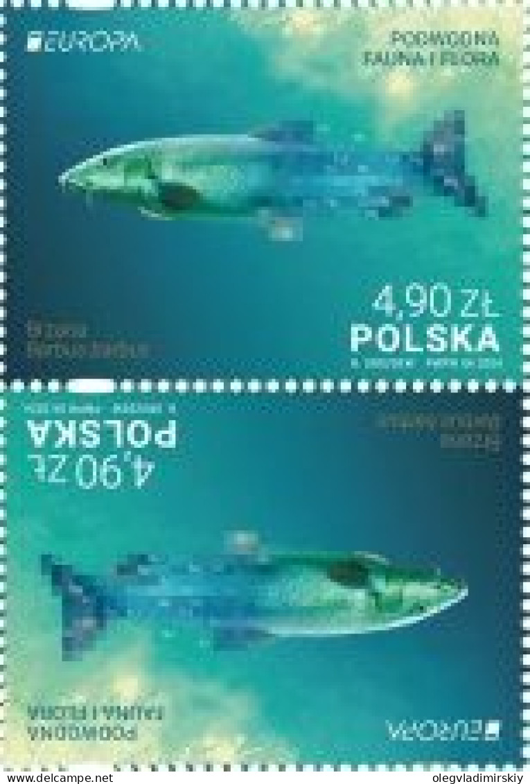 Poland Polen Pologne 2024 Europa CEPT Underwater Fauna Fish Tete-beshe MNH - Unused Stamps