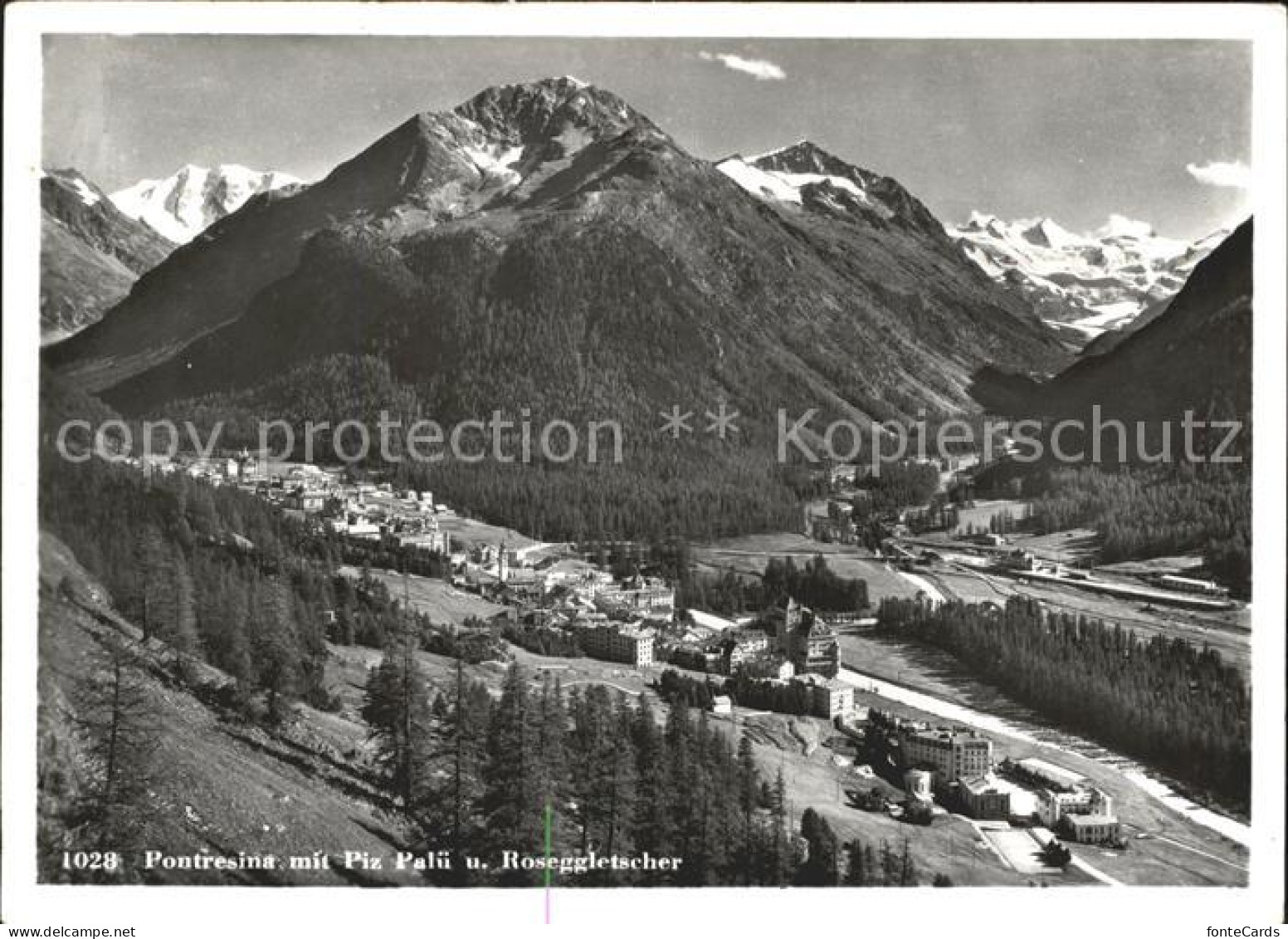 11645189 Pontresina Piz Palue Roseggletscher Pontresina - Other & Unclassified