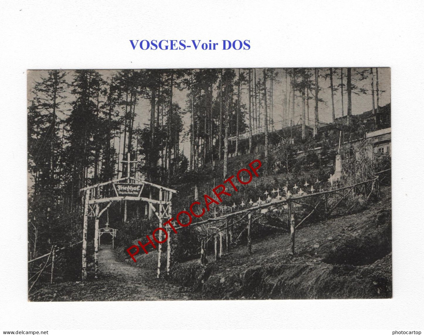 VOSGES-CP NON SITUEE-Cimetiere-Brig. Ers. Batl. 37 (violi)-CARTE Imprimee Allemande-GUERRE 14-18-1 WK-MILITARIA- - War Cemeteries