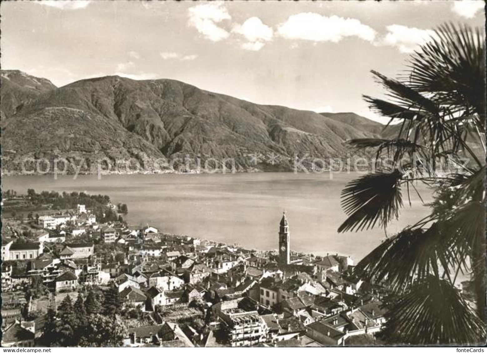 11645135 Ascona TI Lago Maggiore Ascona - Andere & Zonder Classificatie