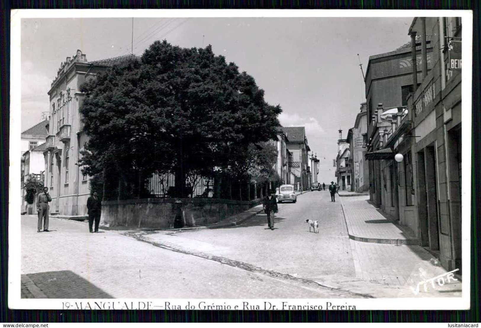 MANGUALDE -Rua Do Grémio E Rua Dr. Francisco Pereira.( Ed. Vittor Nº 19) Carte Postale - Viseu