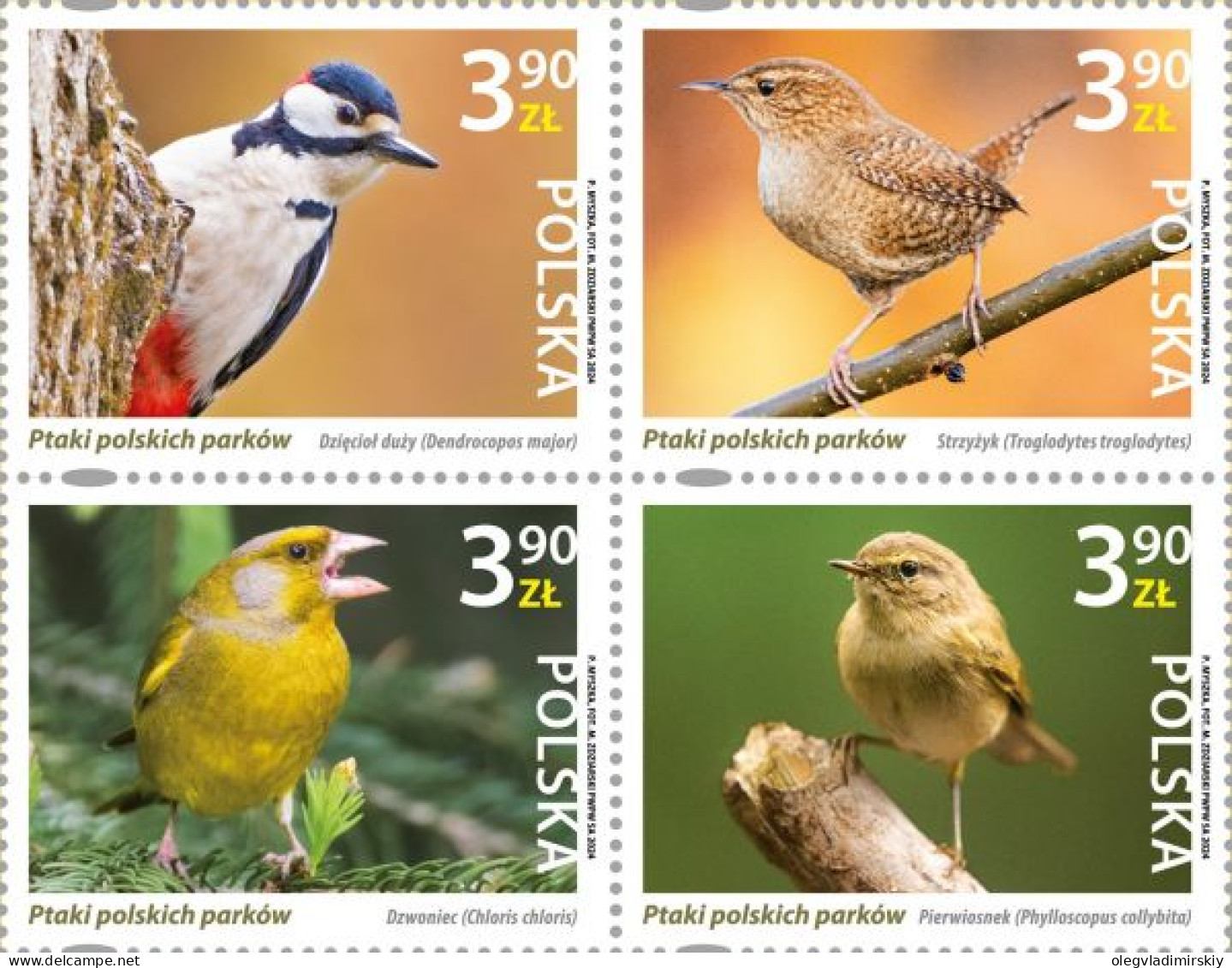Poland Polen Pologne 2024 Birds Of Parks Set Of 4 Stamps In Block 2x2 MNH - Passereaux