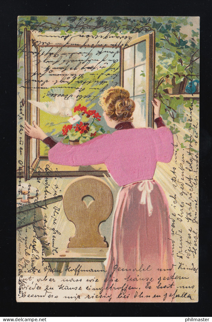 Frau Rosa Samt Jacke öffnet Fenster, Weiße Taube Brief Basel /Bahnpost 23.8.1904 - Sonstige & Ohne Zuordnung