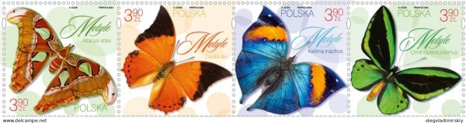 Poland Polen Pologne 2024 Butterflies Set Of 4 Stamps In Strip MNH - Schmetterlinge