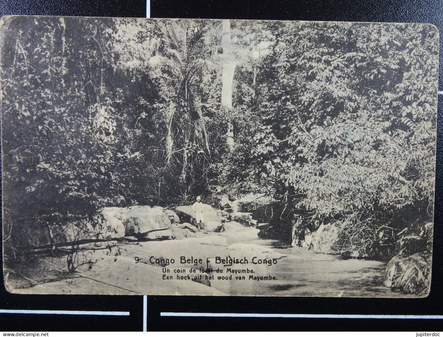 Congo Belge Un Coin De Forêt Du Maymbe - Belgisch-Congo