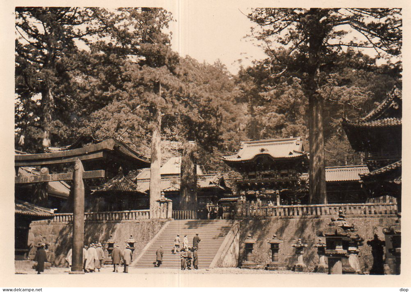 Photographie Photo Vintage Snapshot Chine China Pagode - Places