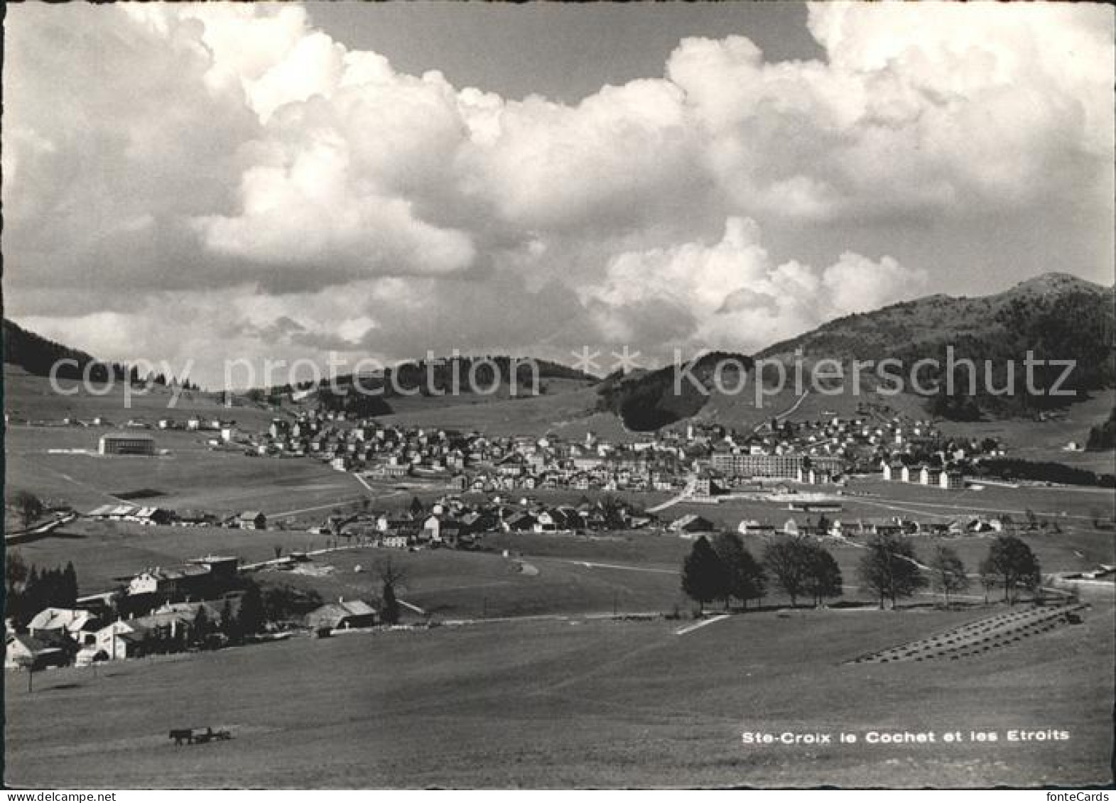 11644603 Ste Croix VD Panorama Le Cochet Et Les Etroits Ste Croix VD - Sonstige & Ohne Zuordnung