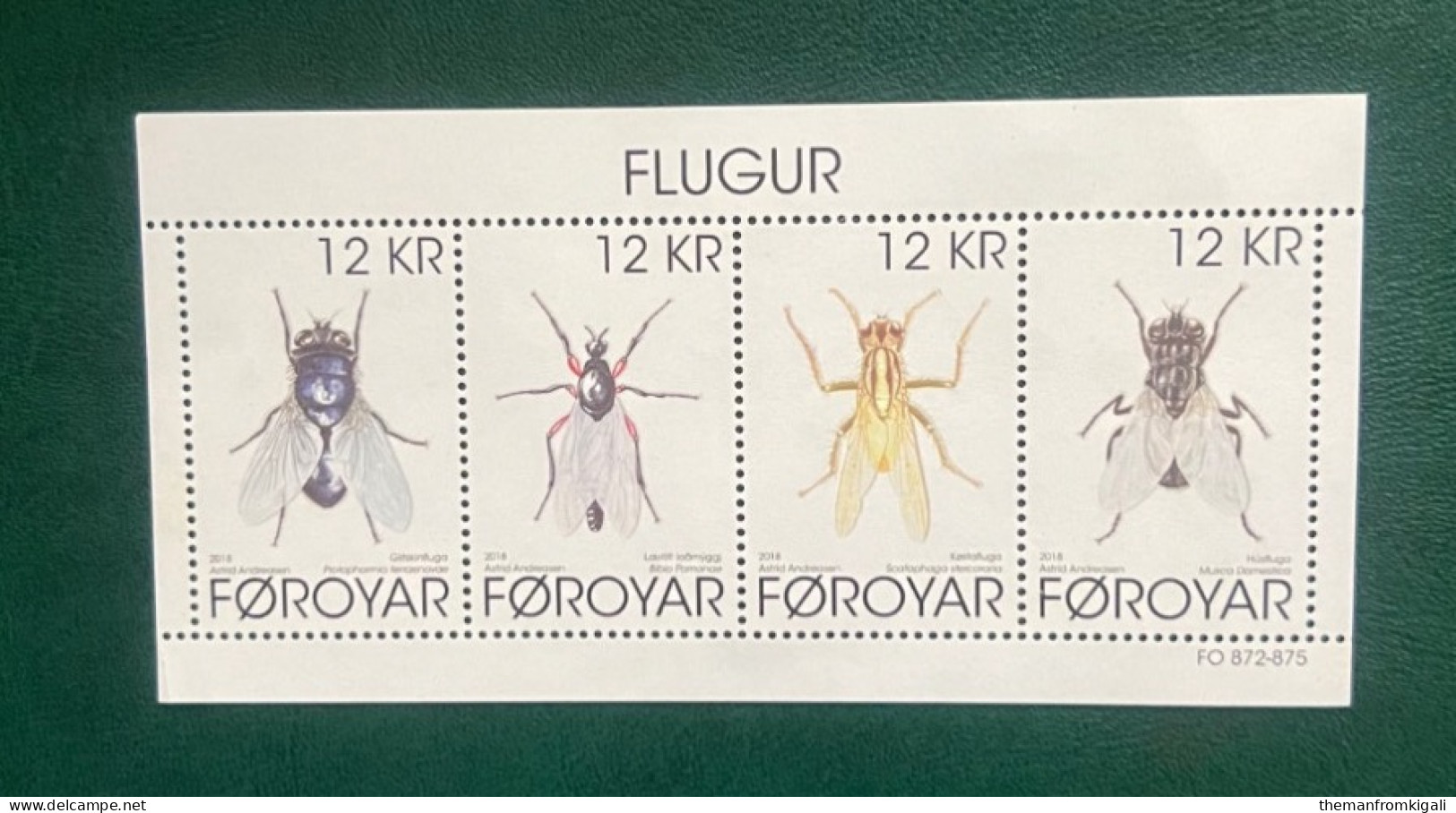 Faroe Islands 2018 - Insects - Flies. - Féroé (Iles)
